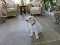 IMG_0307.jpg