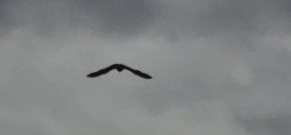 20260703_161443.jpg
