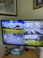 6077.jpg