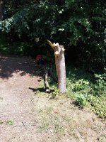 20260720_144355.jpg 20260720_144355.jpg