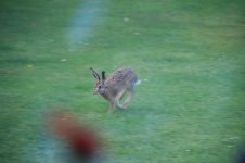 IMG_5003.JPG IMG_5003.JPG