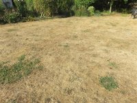 IMG_0463.jpg