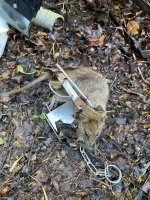 IMG_3204.jpeg