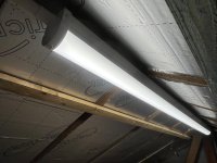 IMG_0077.jpeg