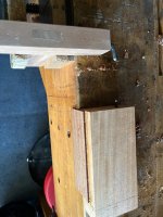 IMG_2498.jpeg IMG_2498.jpeg