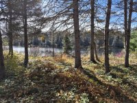 11906.jpg