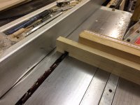 nibbling in progress.JPG