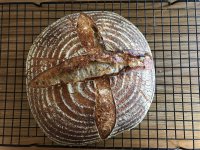 Sourdough_7477.jpg