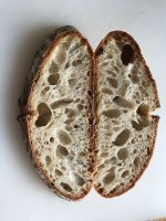 Sourdough,-Open-Crumb.jpg