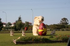 013.JPG 013.JPG