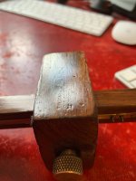 IMG_8397.jpeg IMG_8397.jpeg