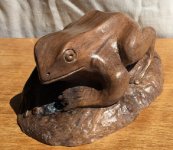 frog 1.jpg