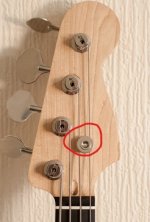 bass.jpg bass.jpg