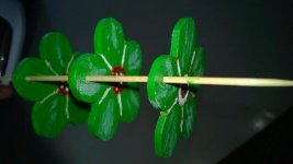 21-Flowers_Drying.jpg 21-Flowers_Drying.jpg