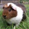 Auldfart2010